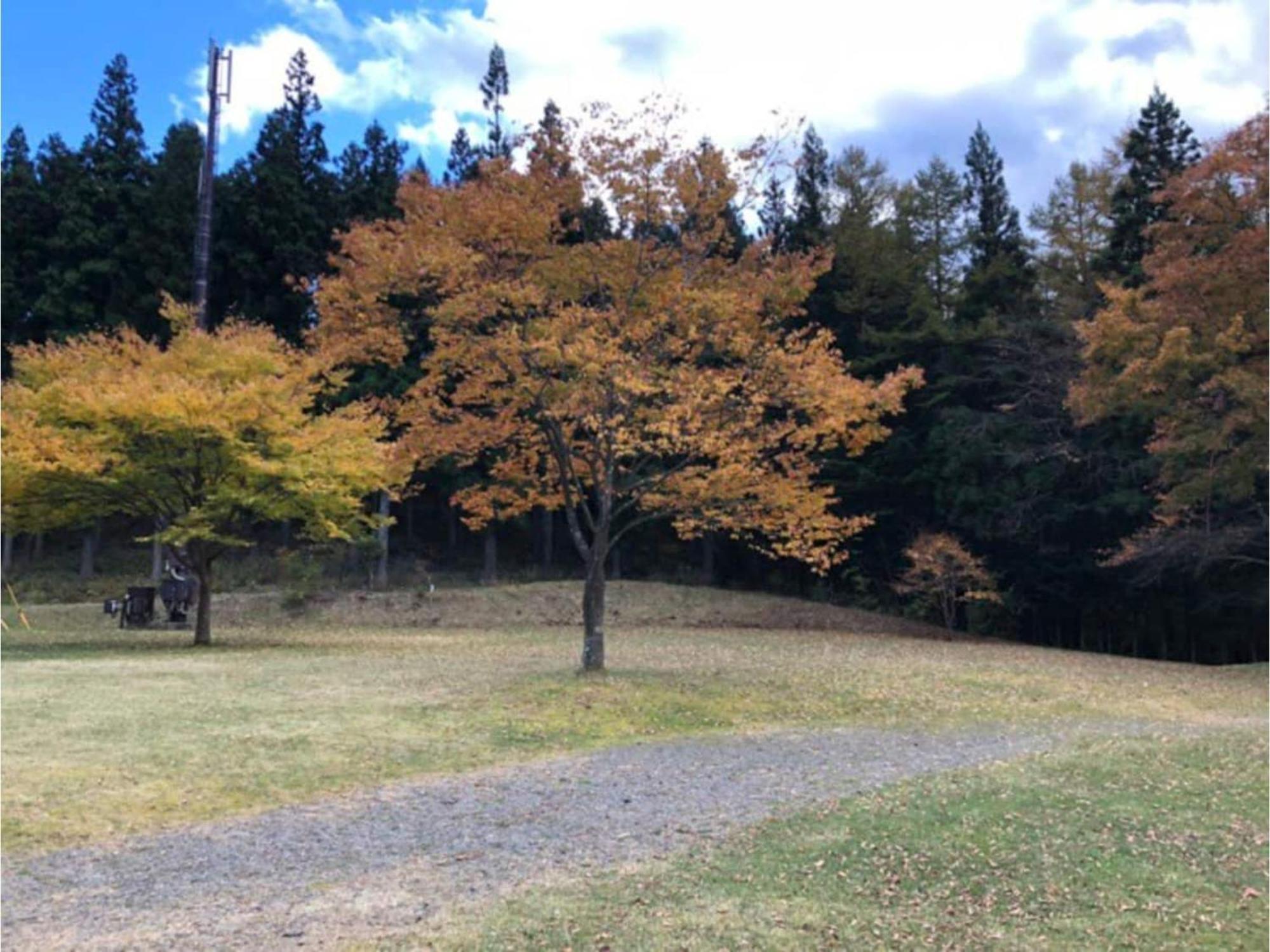 Polar Haus Minamikaruisawa1 - Vacation Stay 88000V Karuizawa Exterior foto