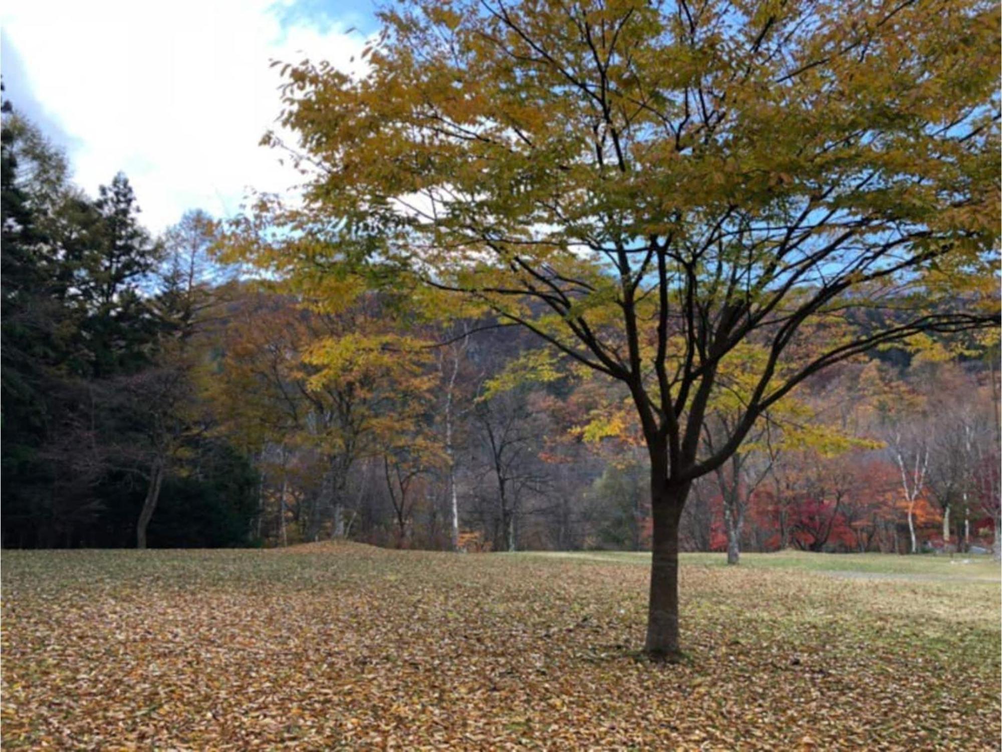 Polar Haus Minamikaruisawa1 - Vacation Stay 88000V Karuizawa Exterior foto